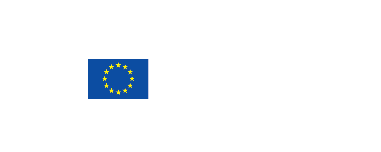DG EFIS